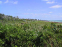 Bahia Honda campground