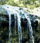 Falling Waters State Park