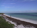 Bahia Honda Sandspur Beach