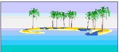Palm trees